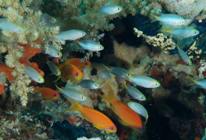 LX488224E1A5CC94661BA1CFAA6ED849F3