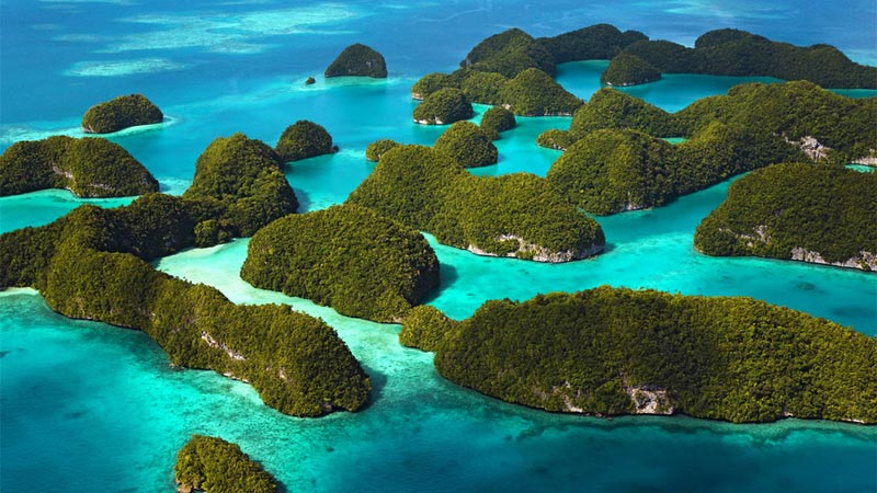 LX6CEF17F819E642D52B5A4682A2B903FF