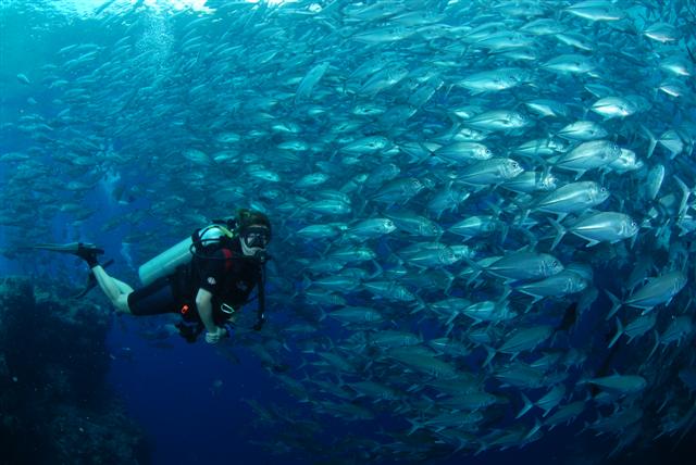 LXBA3A195C2798FCFF73FF184C9860B515