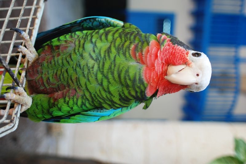 LXFEFE10CEC7FD890871CB491F9EA1AC35