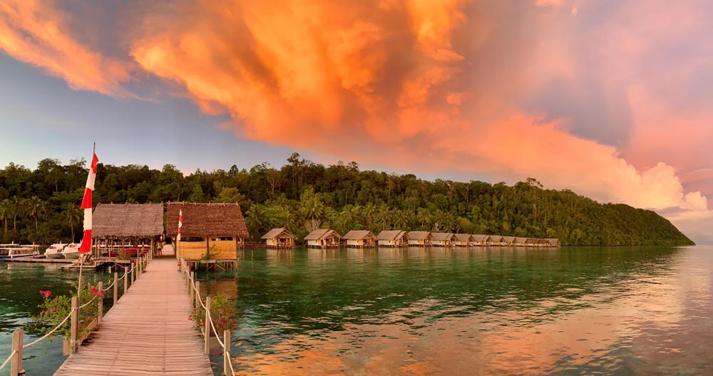 LX674B356D8E758F729D1AAFB6C66CD846